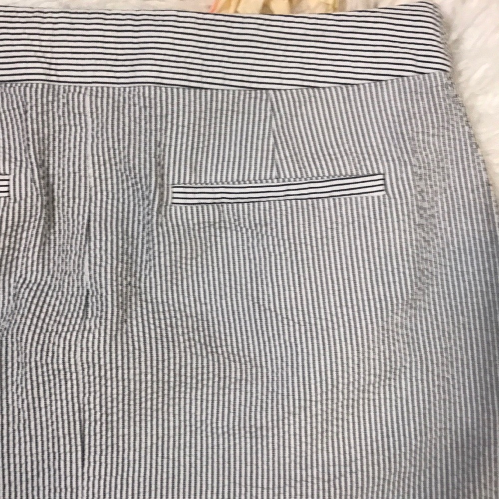 J.Crew Navy Blue & White Stripe Skirt - Picture 4 of 4